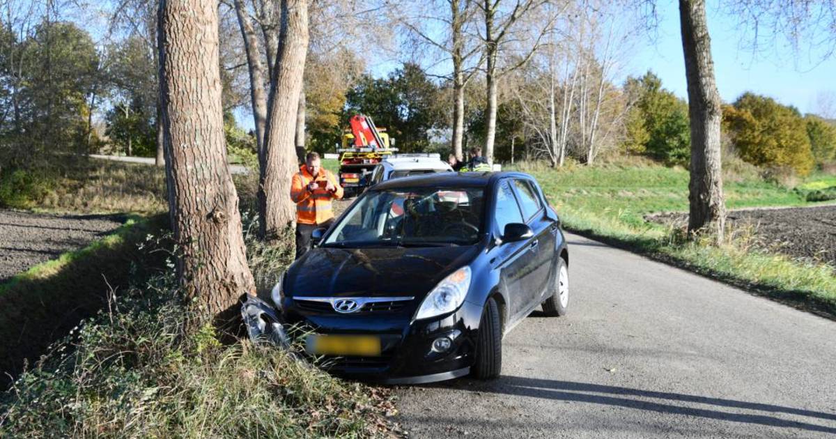 Automobilist tegen boom gebotst op Sint Pietersdijk in Heinkenszand | Borsele
