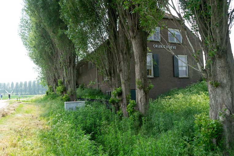 De Oranjehoeve in het Brabantse Hank.  Linksachter het monument Verzet, Vrijheid, Victory. Beeld Arno Haijtema