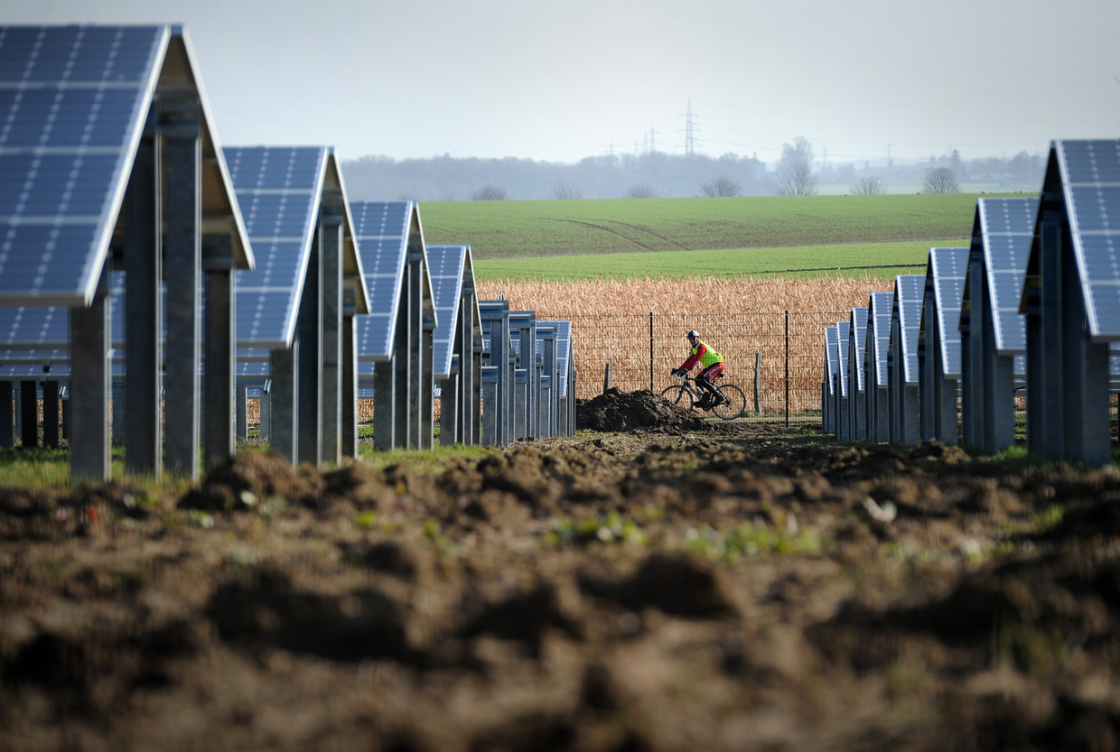 Zonnepanelen in het Limburgs landschap. Beeld anp