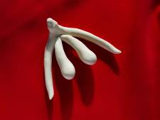 Le clitoris est bien plus sensible qu’on ne l’imaginait