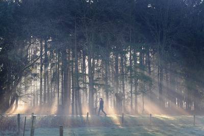Wintervogelwandeling IVN Gemert-Bakel