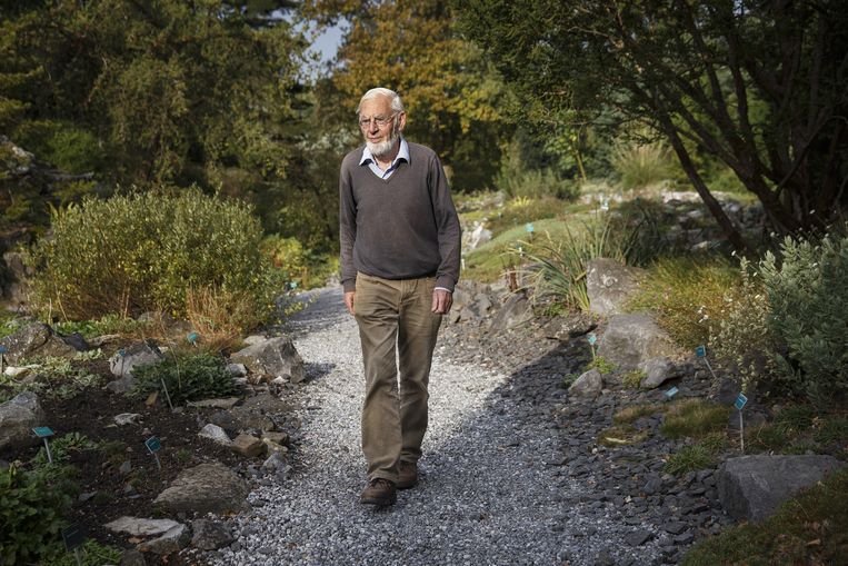 Olaf Schuiling Beeld Ilvy Njiokiktjien / NYT