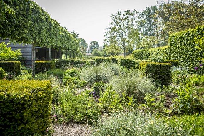 Variatie qua planten en hoogtes valt in de smaak bij vogels.