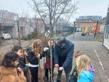 MIJN FOTO | Geen 4, maar wel 20 boompjes op het schoolplein bij De Wissel