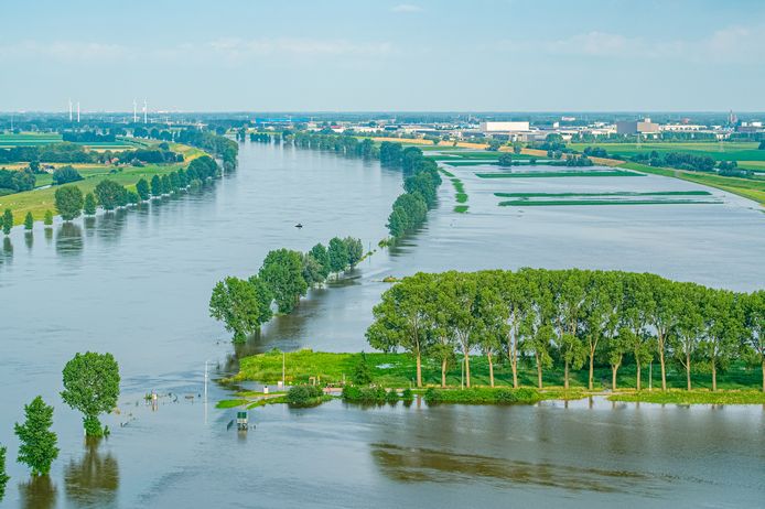 Hoog water in de Bergsche Maas nabij de Overdiepse Polder.