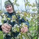 De fruitbomen van deze kweker groeien op geleende grond