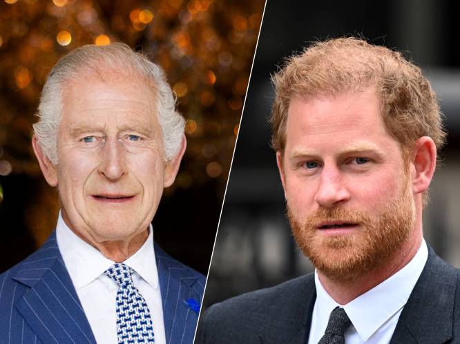 The Times: Harry is bereid om tijdelijk terug te keren en koninklijke rol te vervullen