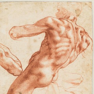 De mannen van Michelangelo waren wel erg jong, is dat een probleem?