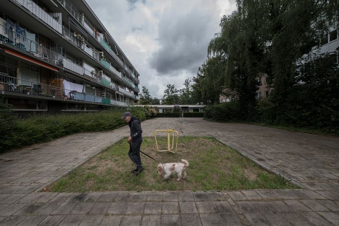 Het speeltoestel.