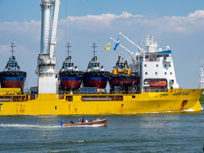 Imposant schip, volgeladen met sleepboten, vaart Rotterdam binnen