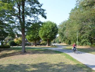 Van Kersschaver (Vooruit): “Lokeren en Moerbeke vragen te weinig subsidies aan voor veilige fietspaden”