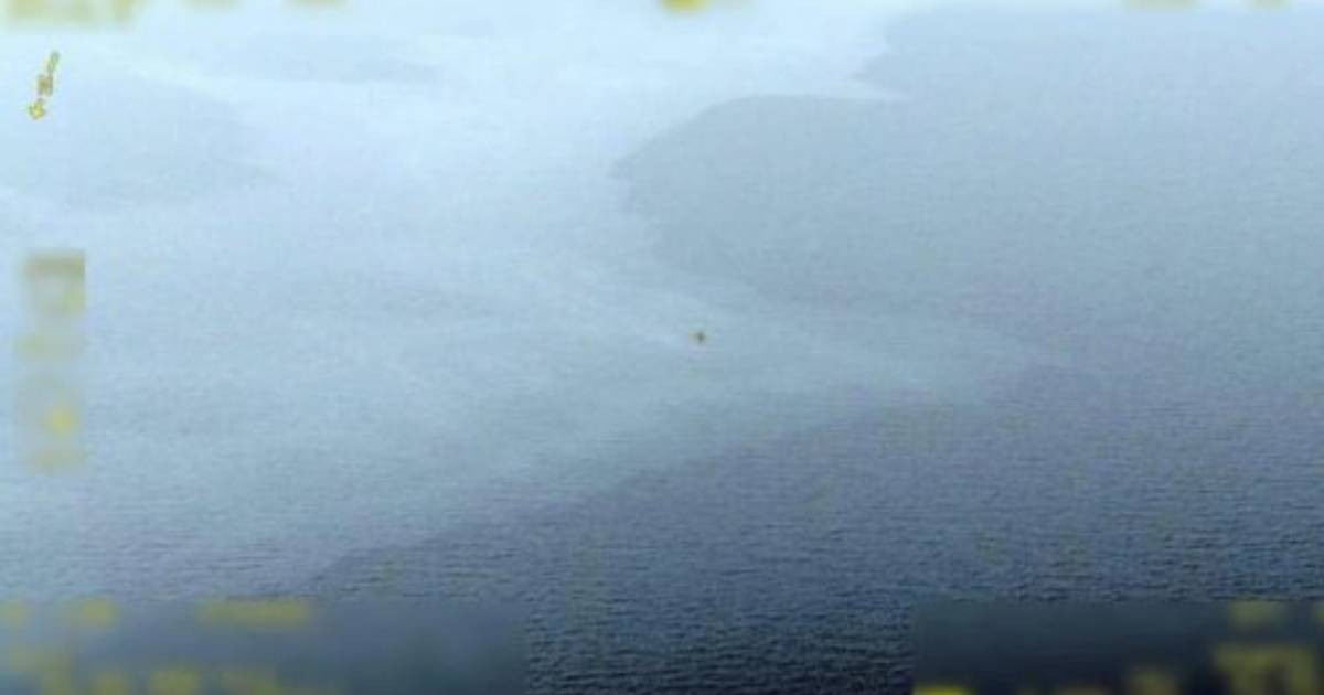 La scoperta di una misteriosa chiazza di petrolio gigante al largo delle coste svedesi |  scienza e pianeta