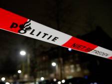 Bestelbusje en woning beschoten in de wijk Holtenbroek in Zwolle