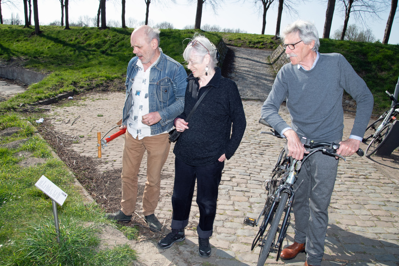 Nieuw Initiatief: Op De Pedalen Langs Kunst En Muziek In Het Oost-Zeeuws-Vlaamse  Landschap | Foto | Pzc.Nl