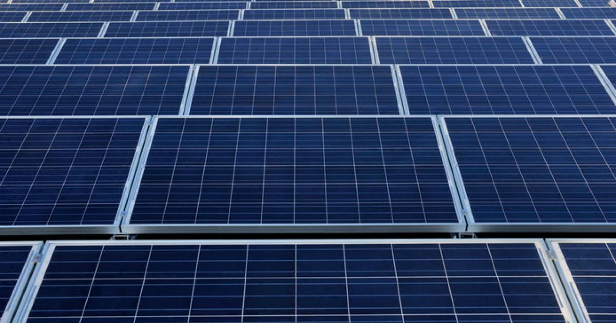 Groen licht voor zonnepark met 12.500 zonnepalen in Daarle