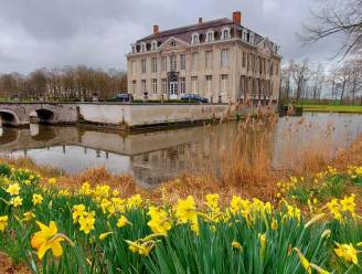 Paaseieren rapen in het prachtige kasteeldomein van Leeuwergem