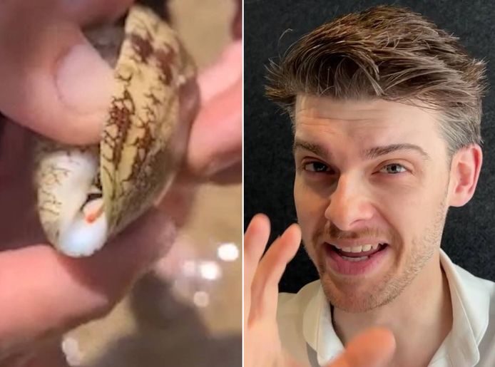 The vacationer unknowingly carries one of the deadliest snails in the world