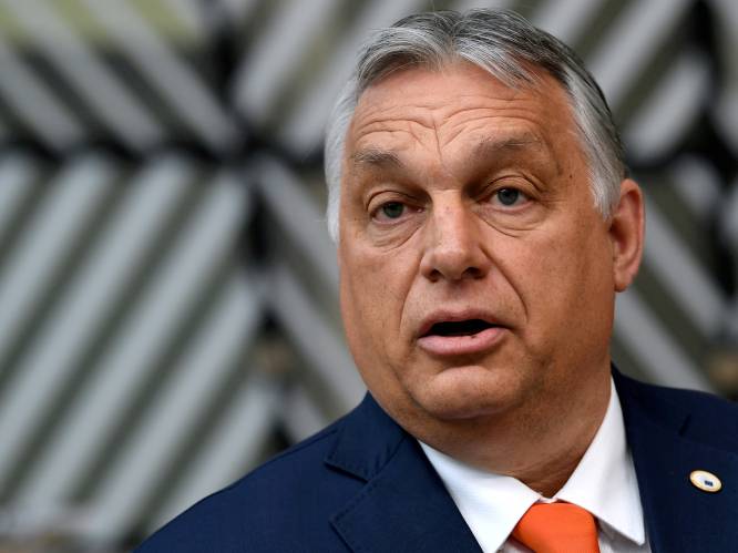 Hongaarse premier Orban wil Europese subsidies niet afhankelijk maken van afschaffing 'antihomowet’