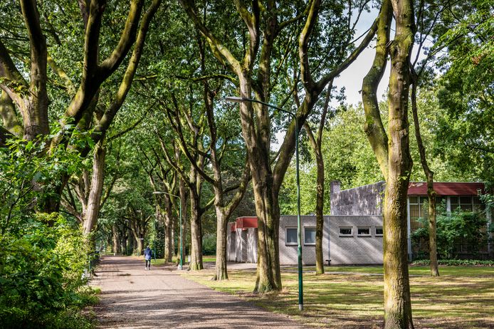 Wat komt er op de plek van de voormalige gymzaal van de Elzeneindschool? Dat is de vraag die de buurt bezighoudt.