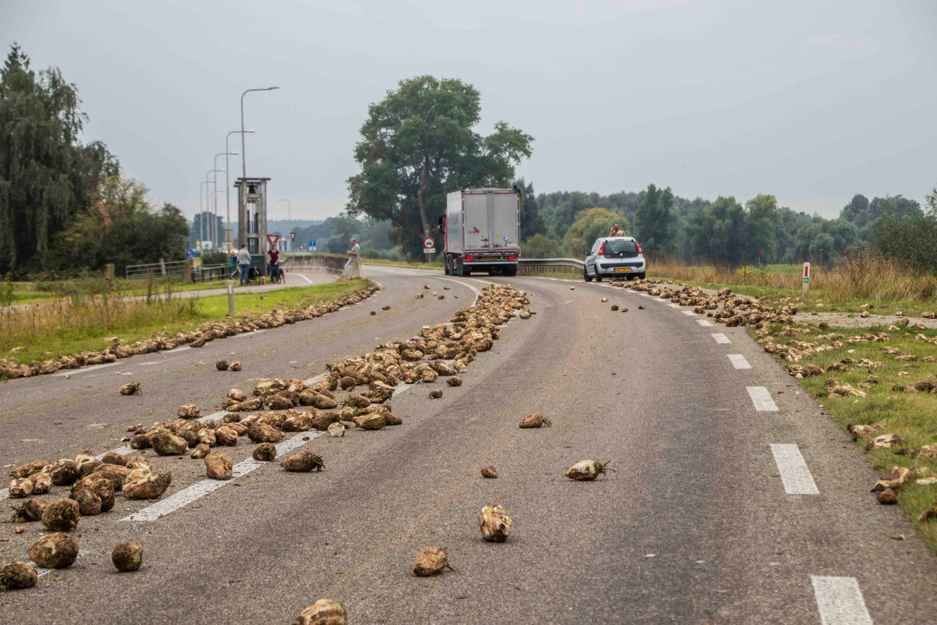 Op de Den Elterweg tussen Zutpen en Baak is zaterdagmiddag een vrachtwagen een lading bieten verloren. Over een stuk van tweehonderd meter ligt de weg bezaaid, hierom is de weg afgesloten.