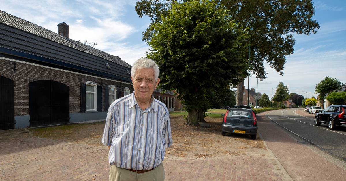 Dorpstraat Luyksgestel: De ramp heeft blijvend impact | Zomerseries | ed.nl - Eindhovens Dagblad