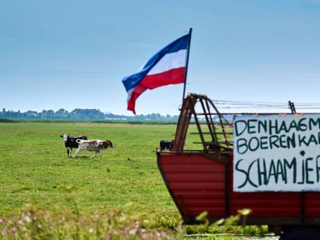 Boeren willen geen maximaal aantal koeien in hun wei, Landbouwakkoord weer hoogst onzeker