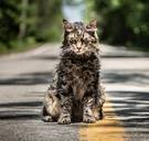 Remake ‘Pet Sematary’: zombiepoezen worden niet graag geaaid ★★★☆☆