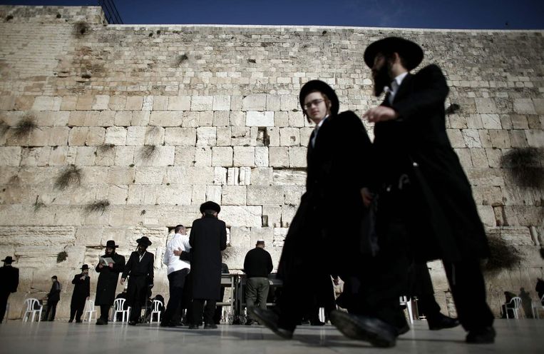Orthodoxe joden bij de Klaagmuur in Jeruzalem. Beeld afp