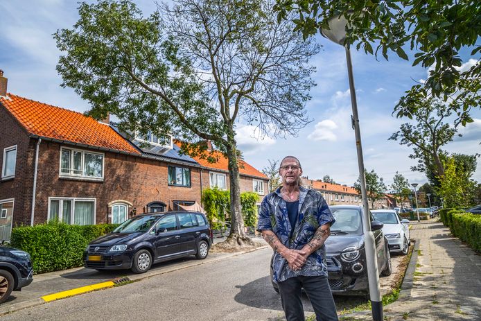 Tom vermoedt dat de boom (links) tegenover zijn woning in de Jan Hoornstraat vergiftigd is.