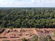 Recordoppervlakte Amazonewoud ontbost tijdens eerste helft van het jaar