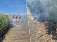 Brand houten vlonderpad in natuurgebied Bergenmeersen