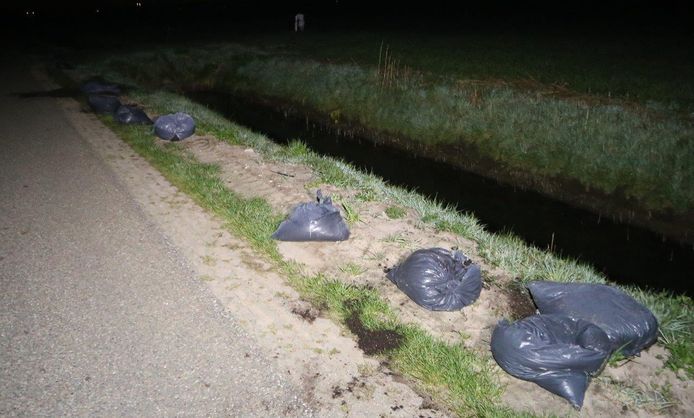 Op de Gementweg tussen Vught en Cromvoirt zijn in de nacht van vrijdag op
zaterdag enkele honderden zakken met hennepafval gedumpt.