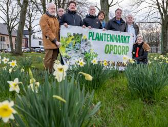 Dries opnieuw decor voor internationale plantenmarkt