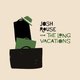 Josh Rouse - Josh Rouse and The Long Vacations