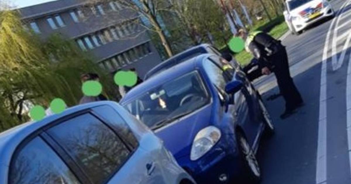 Hitsige eenden zorgen voor kettingbotsing met vier autos in Goes.
