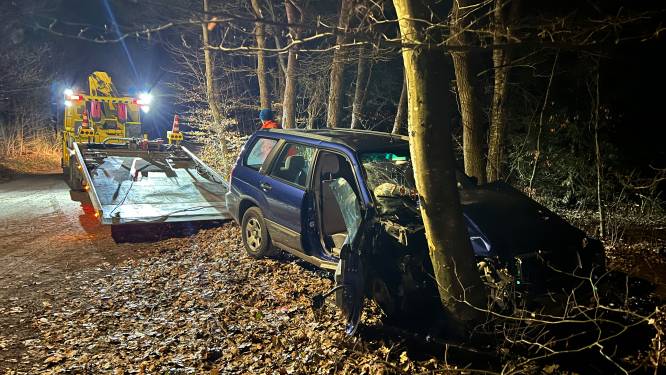 Auto botst hard op boom Ermelo: bijrijder gewond naar ziekenhuis