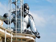 ’King Kong’ op toren stadhuis Apeldoorn
