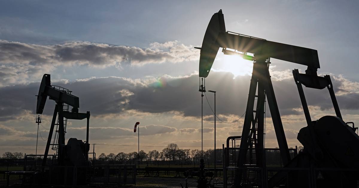 Oil prices are at the highest level in ten months  Economy