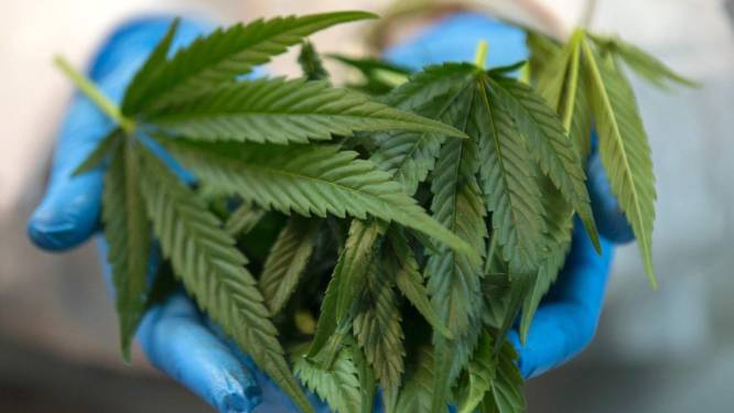 Europeanen besteden jaarlijks 24 miljard aan drugs