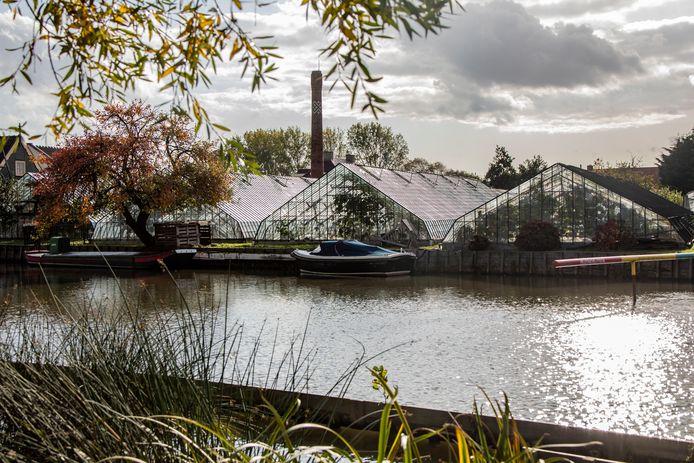 De Vredebestlaan in Poeldijk.