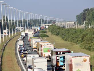 Anderhalf uur file op de E19 naar Breda door ongeval ter hoogte van Sint-Job-in-'t-Goor: twee rijstroken versperd