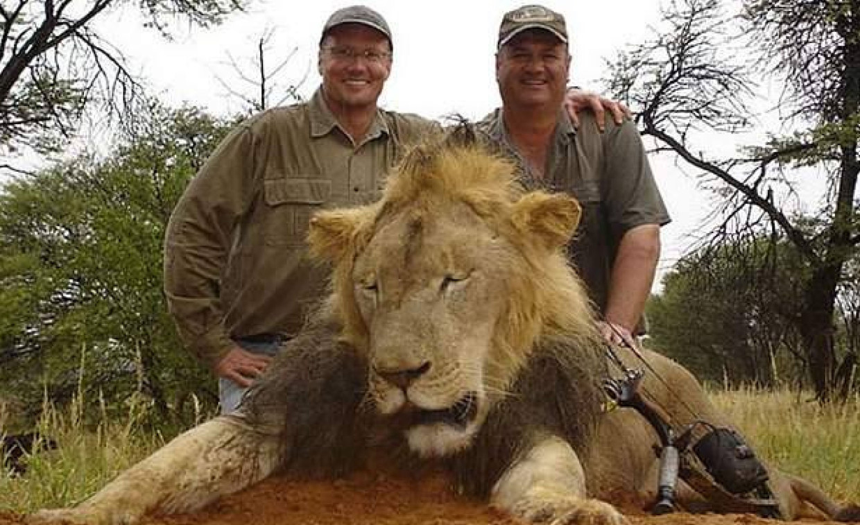 Walter Palmer (links) met een leeuw (niet Cecil).  Beeld REX by Shutterstock HH