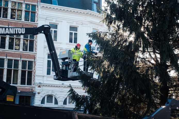 18 Meter Hoge Kerstboom Aangekomen Op Grote Markt Antwerpen Hlnbe