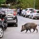 Catalaanse jagers leggen uit protest hun geweer neer