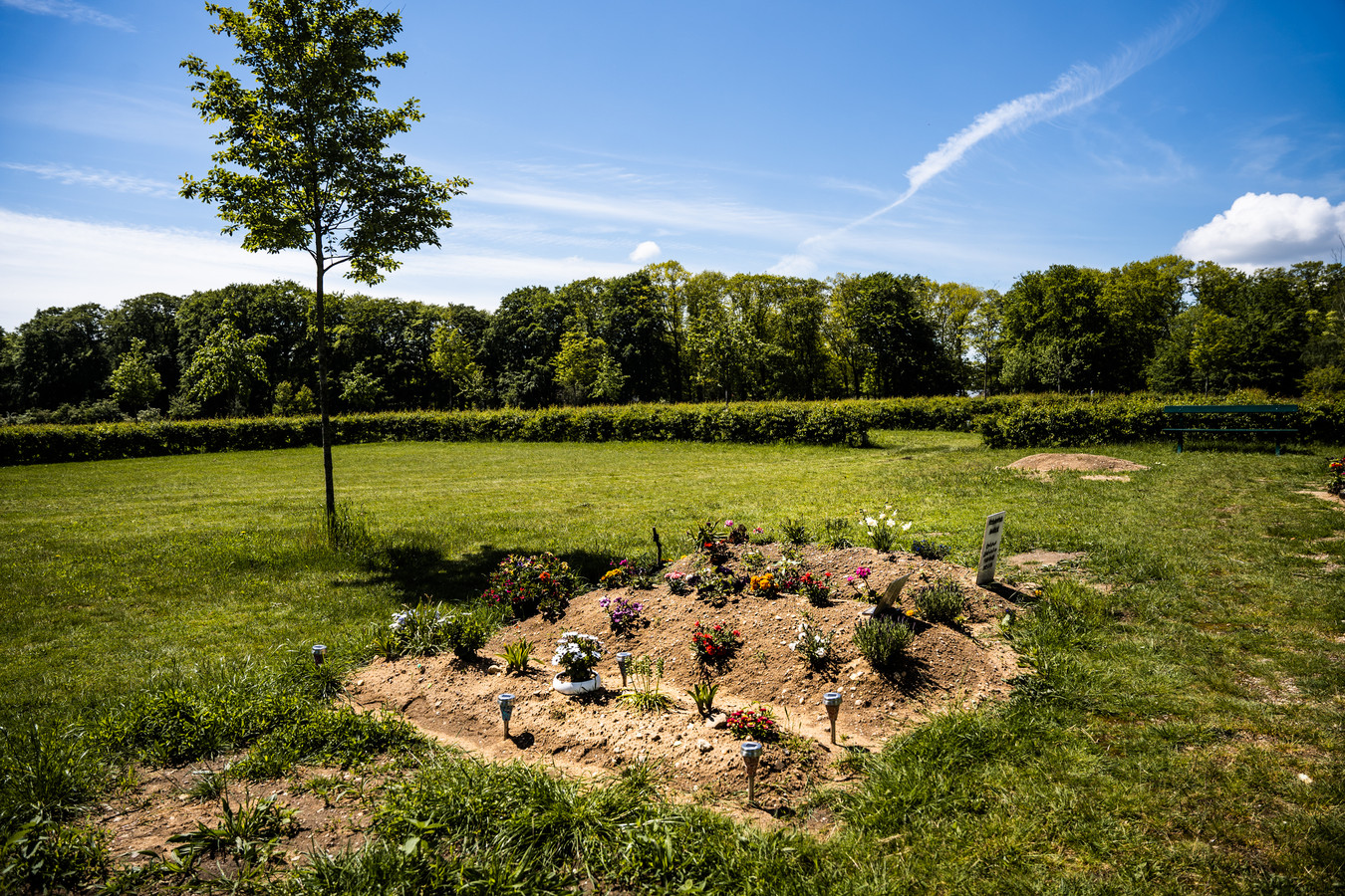 Moslims willen eigen begraafplaats in Roosendaal ‘Waarom zouden we in ander land begraven