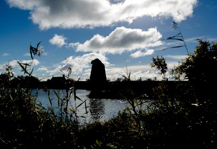 Natuurgebied Twiske bij Oostzaan.