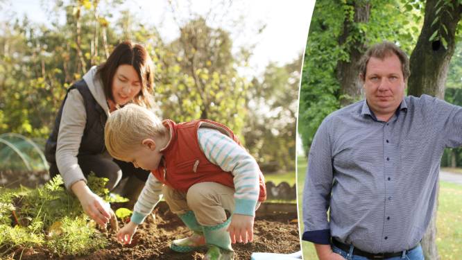 Hoe zorg je ervoor dat je gazon herstelt? En welke groenten kan je nog planten? Deze tuinklussen plan je best in september