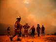 Dodental voortwoedende bosbranden Chili voorbij de 120: huizen branden in minuten af