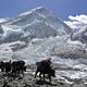 Mount Everest stroomt leeg