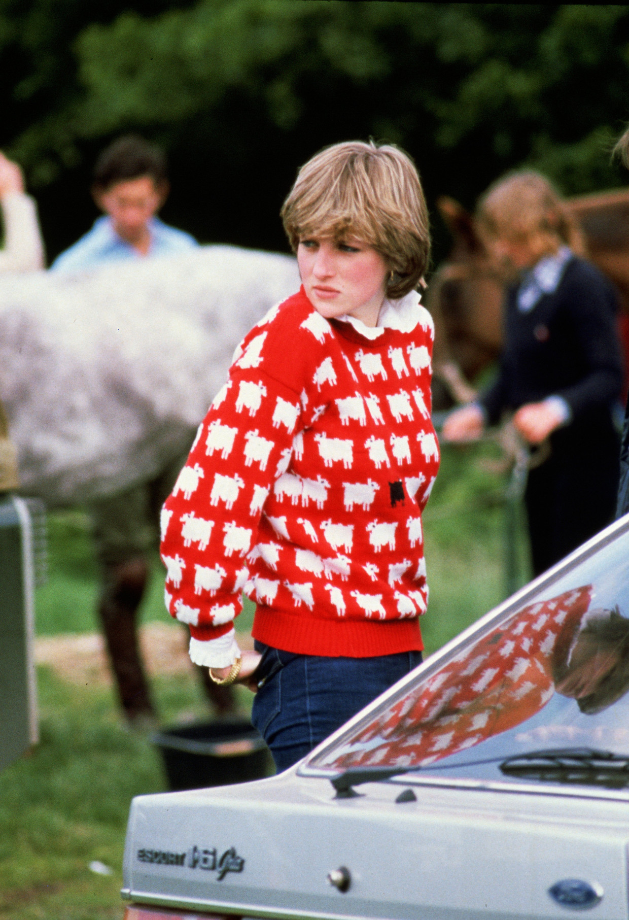 De revival van het zwarte schaap op een rode trui Trouw